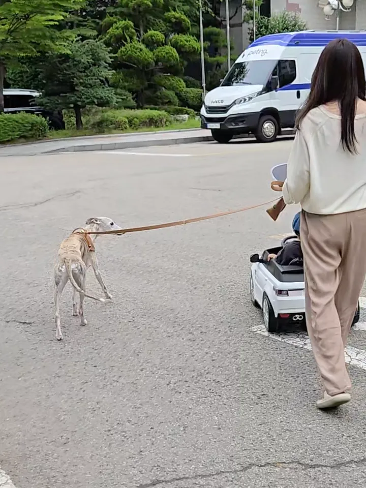 검진 날 아침, 가족과 함께 아파트 단지에 도착한 펫팅 검진 차량을 향해 걸어가는 순돌이