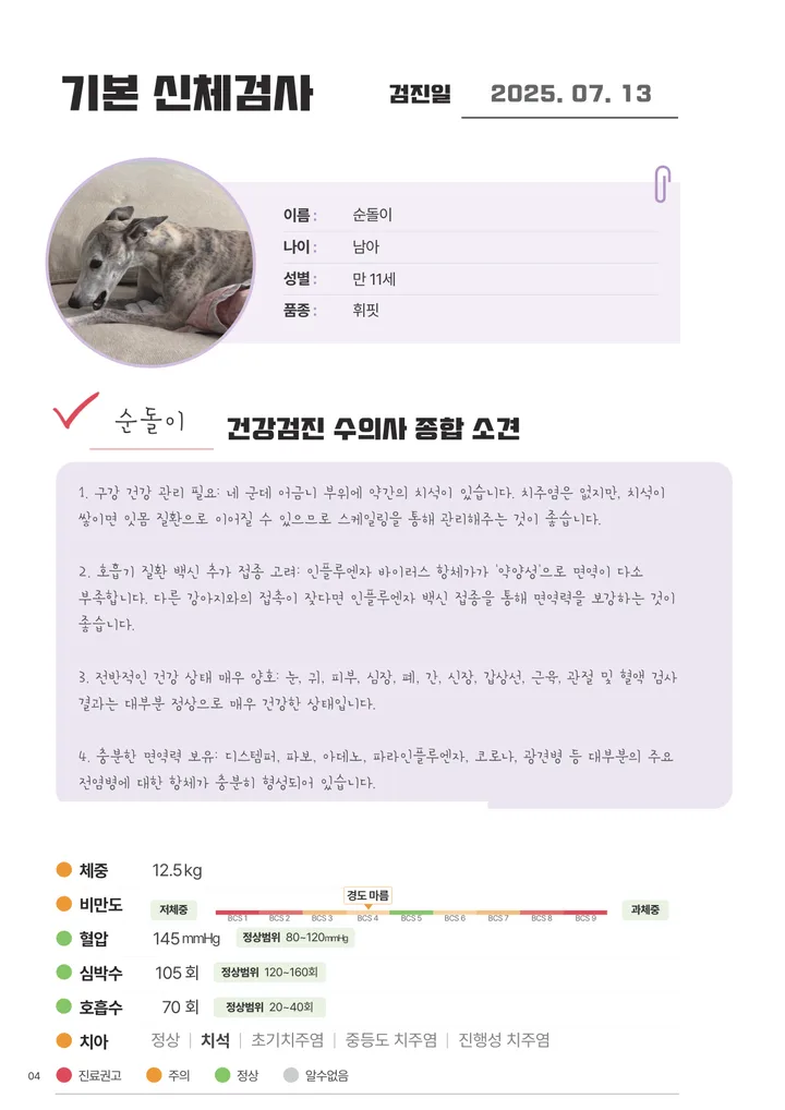 수의사 종합 소견과 기본 신체검사 결과가 담긴 리포트 페이지